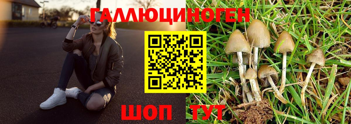 Галлюциногенные грибы ЛСД Сланцы