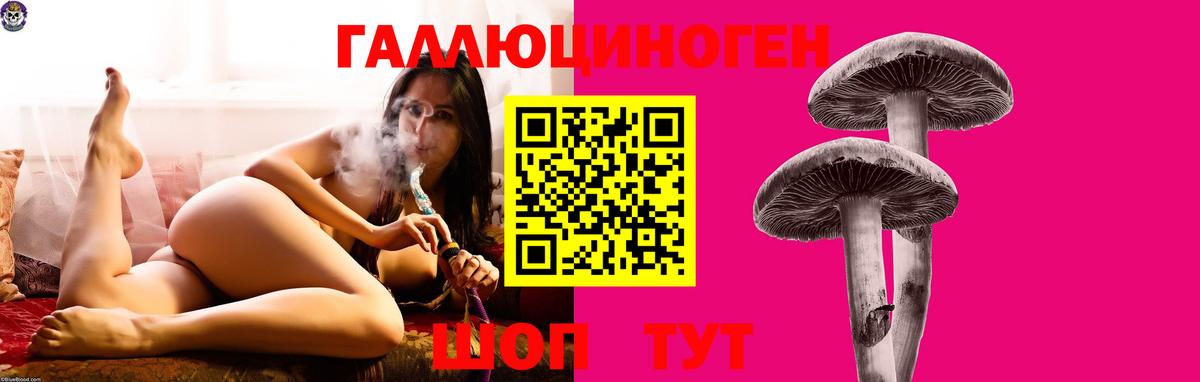 Псилоцибиновые грибы MAGIC MUSHROOMS  Вход с VPN  цена   Сланцы 